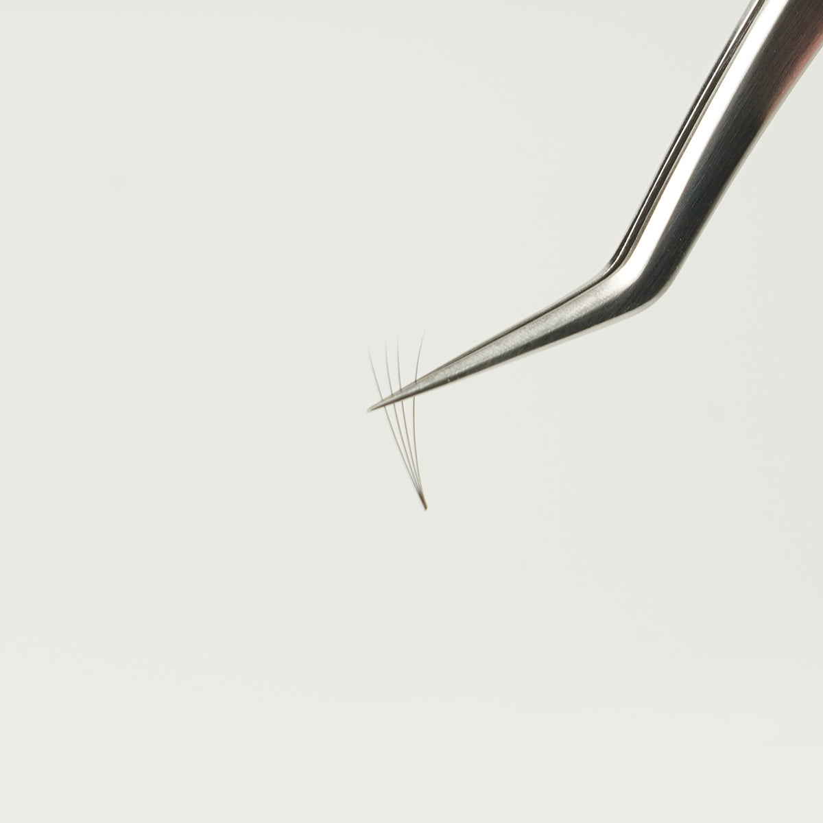 Miss eye d'or  KIWAMI Volume Lash Tweezers